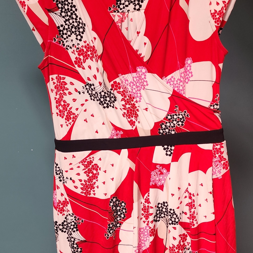 New York & Company Red Floral Dress